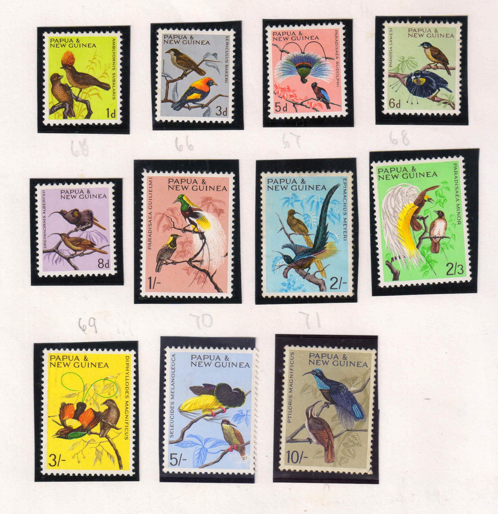 PAPUA NEW GUINEA 1964-Birds, Flora & Fauna, Set of 11, MNH, S.G. 61-71